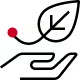 icon - leaf over hand 80x80