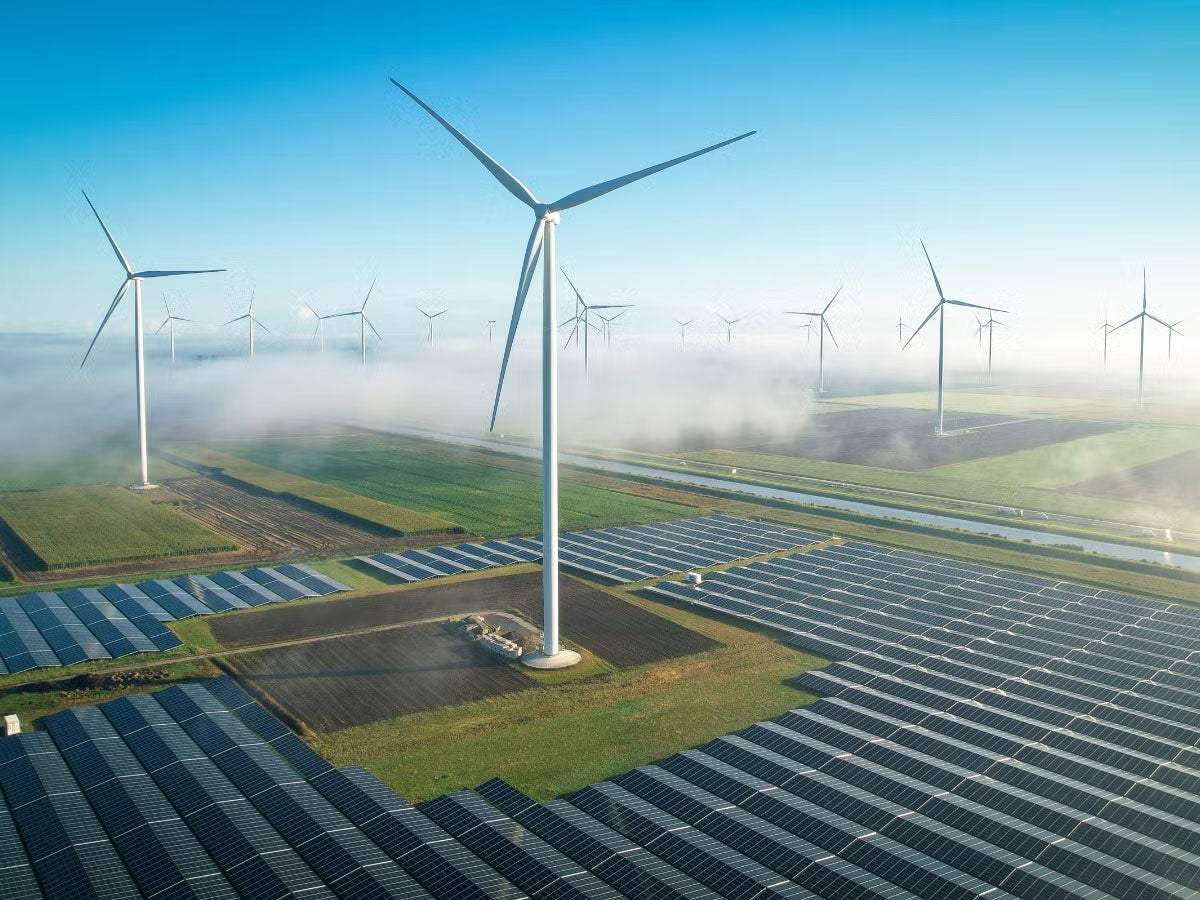 Wind turbines in a solar field