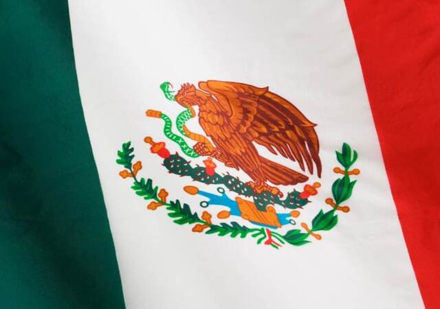 Mexican flag