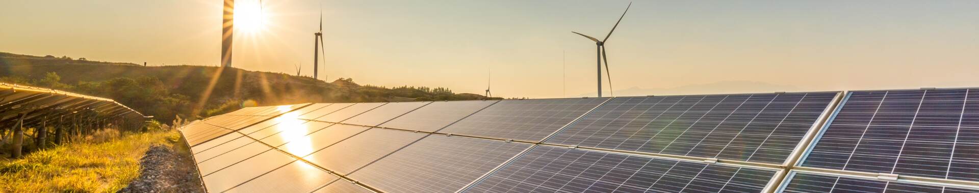 Solar panels and wind turbines