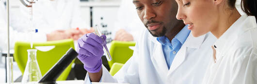 Scientists in lab working