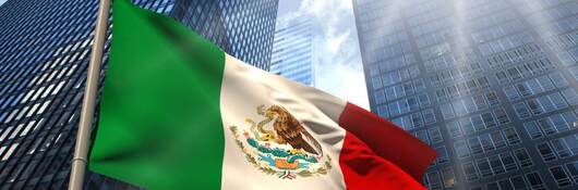 Mexican flag 