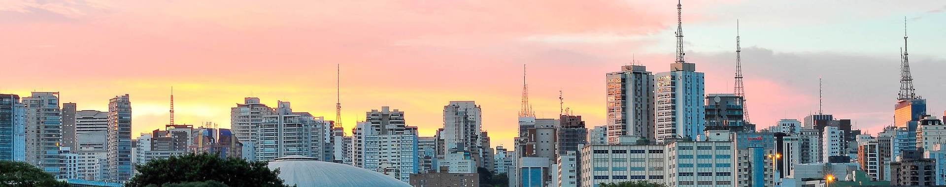 Horizonte de Sao Paulo visto desde el parque Ibirapuera